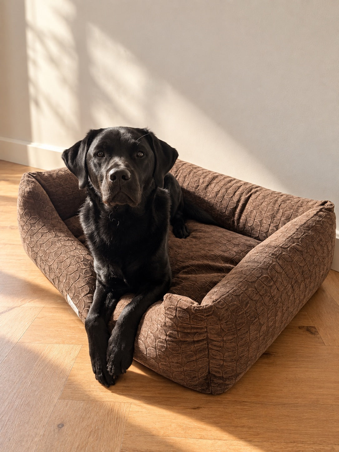 Charlie - brown jacquard dog bed