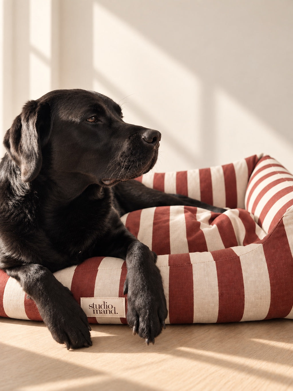 Luca - burgundy striped dog bed