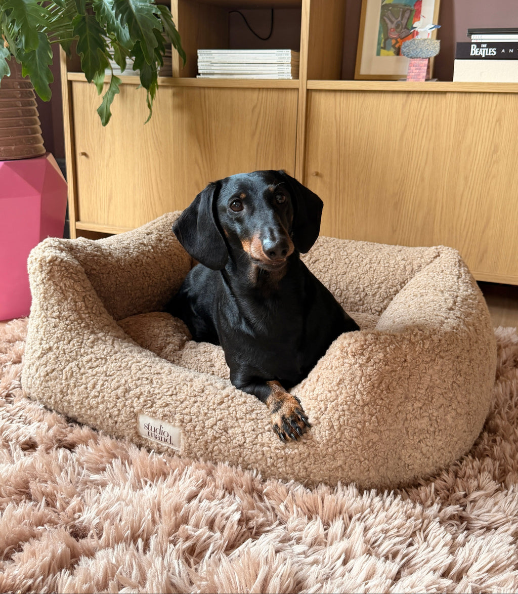 Ted - elegante hondenmand met teddy look