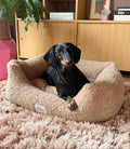 Ted - elegante hondenmand met teddy look