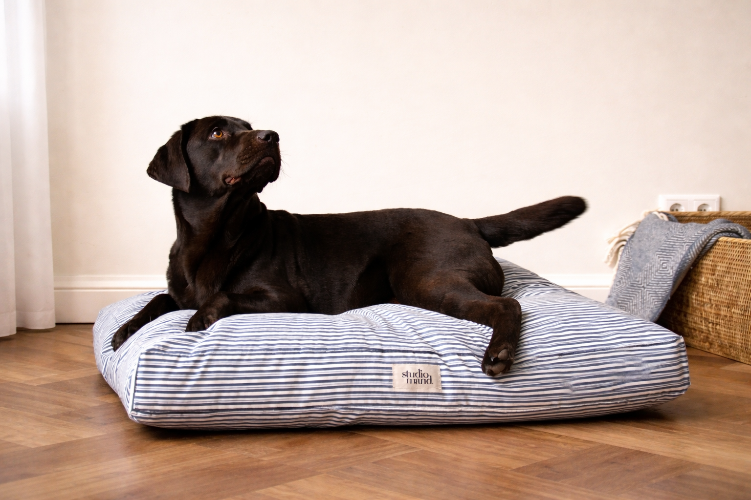 Hugo - hondenkussen met blauwe streep