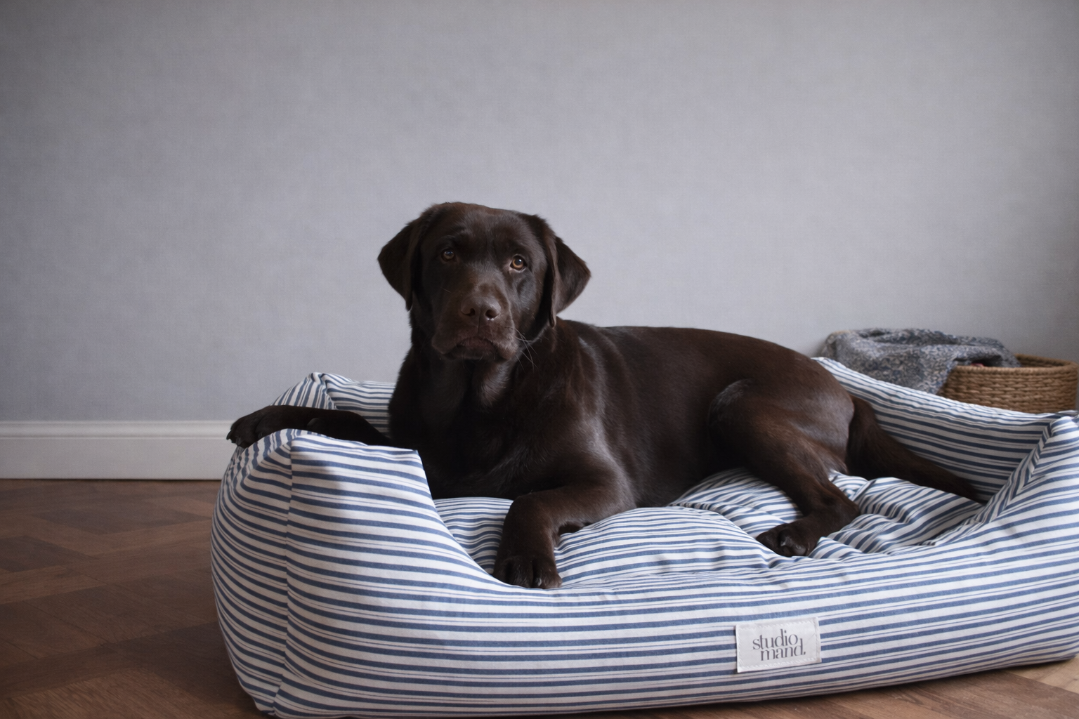 Hugo - luxe hondenmand met blauwe streep