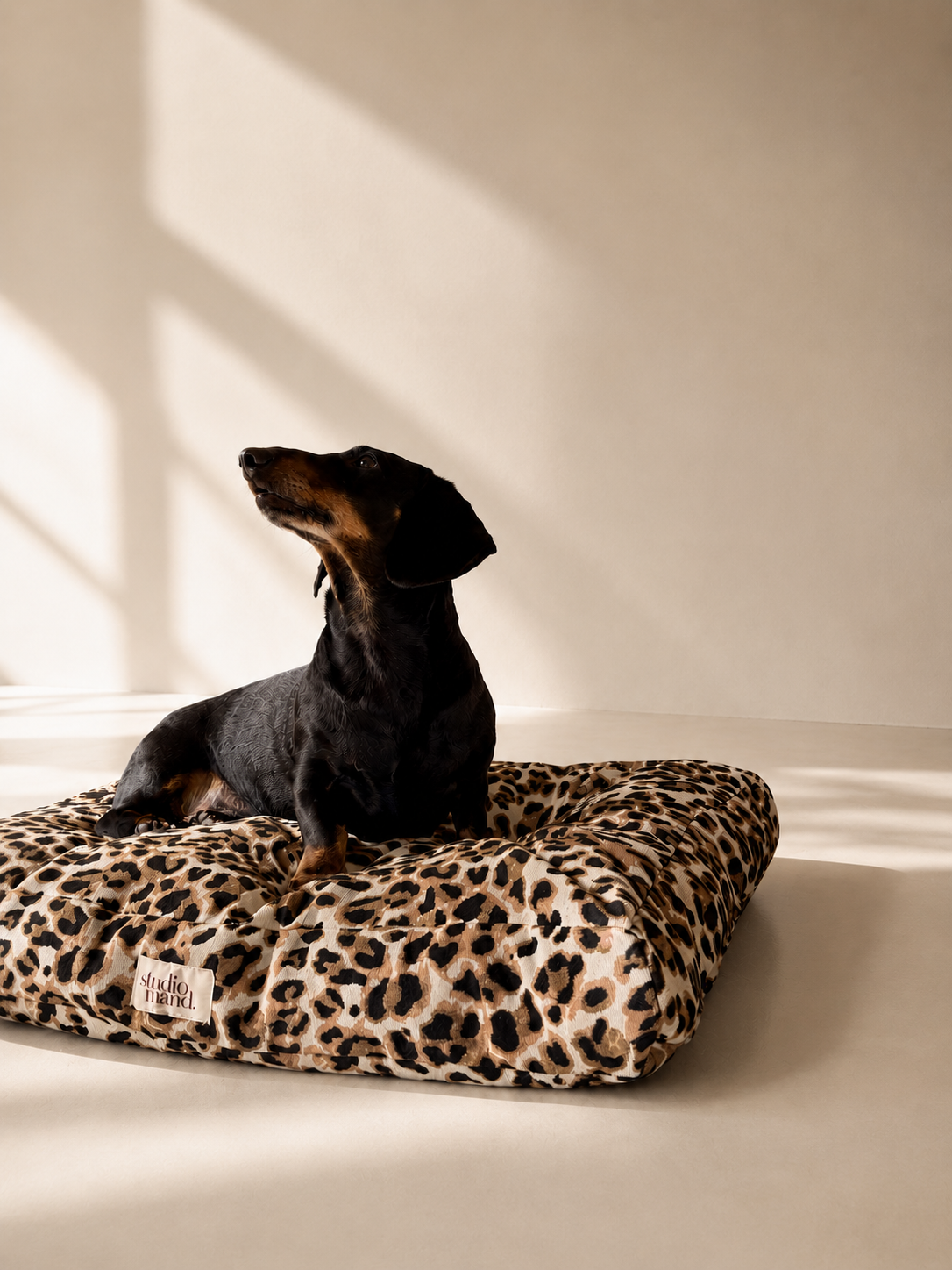 Cooper - hondenkussen met luipaardprint