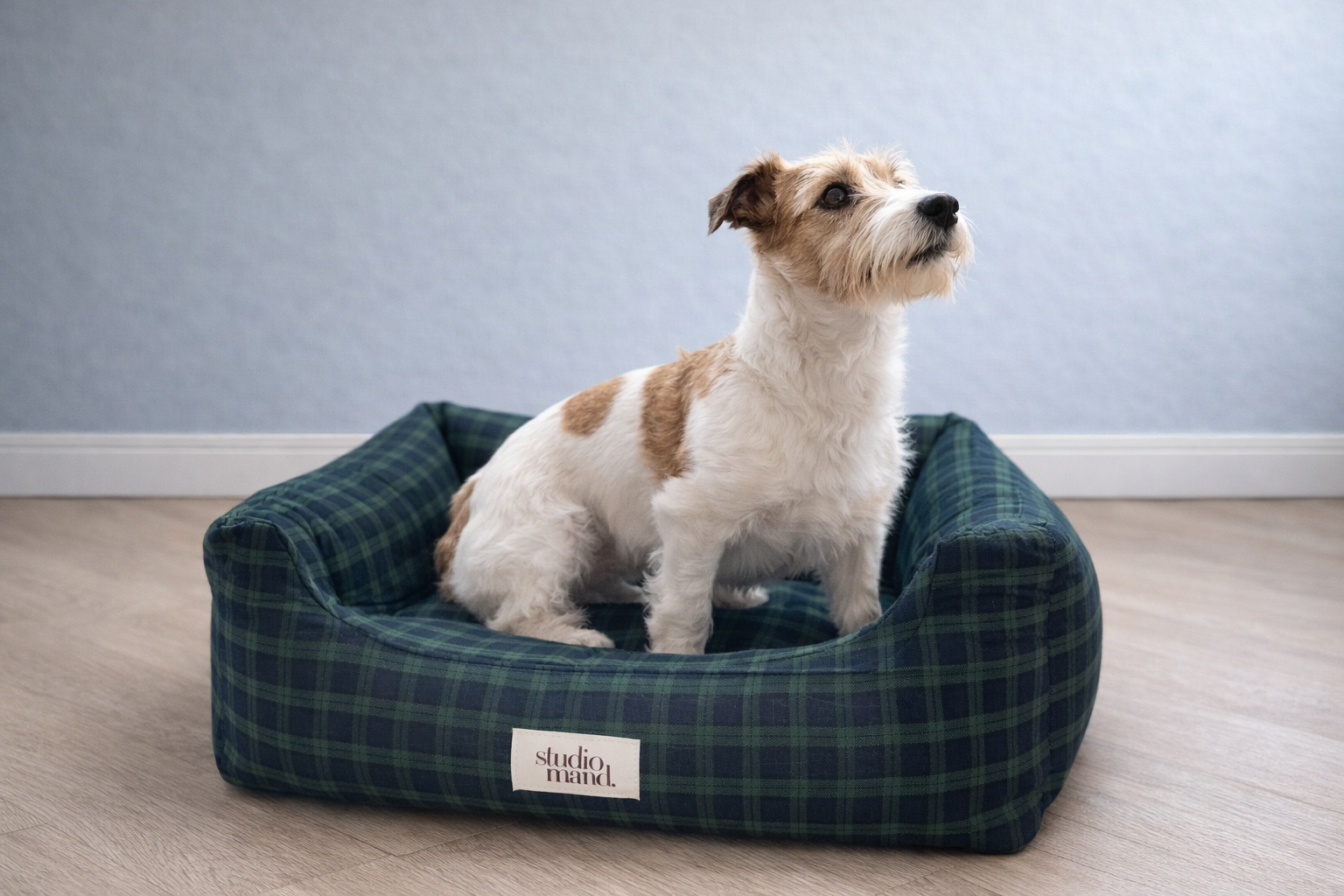 Duke - stijlvolle hondenmand met blauwe Schotse ruit