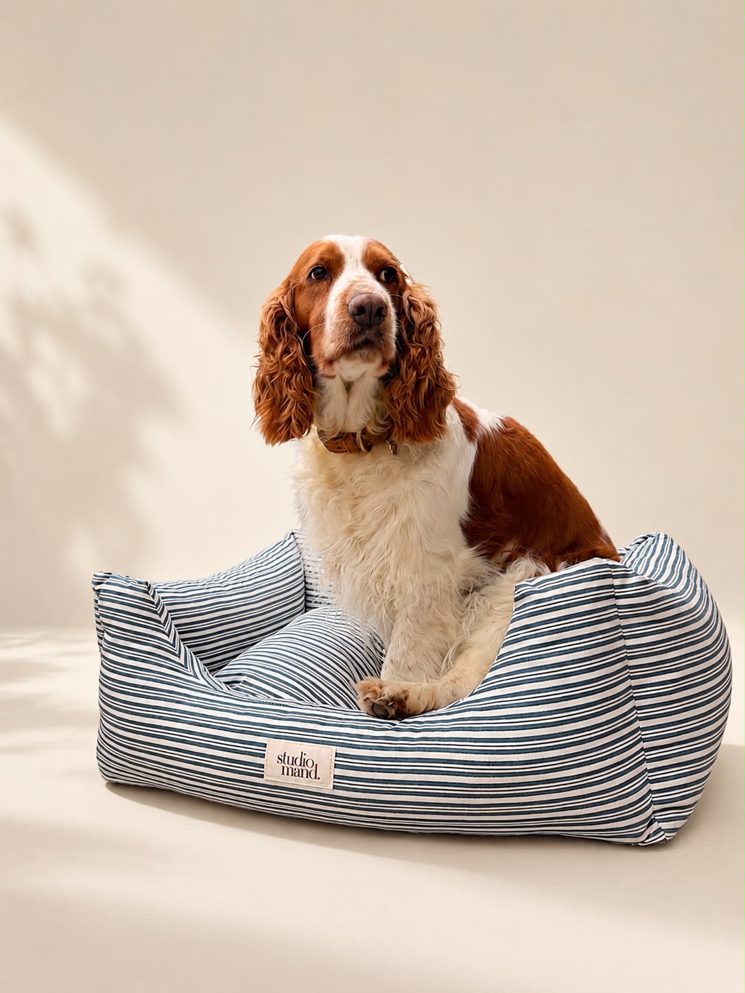 Hugo - hondenmand met blauwe streep