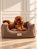 Ted - elegant dog bed with a teddy look