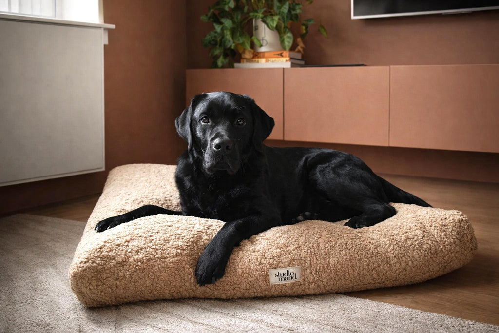 Ted - elegant hondenkussen met teddy look