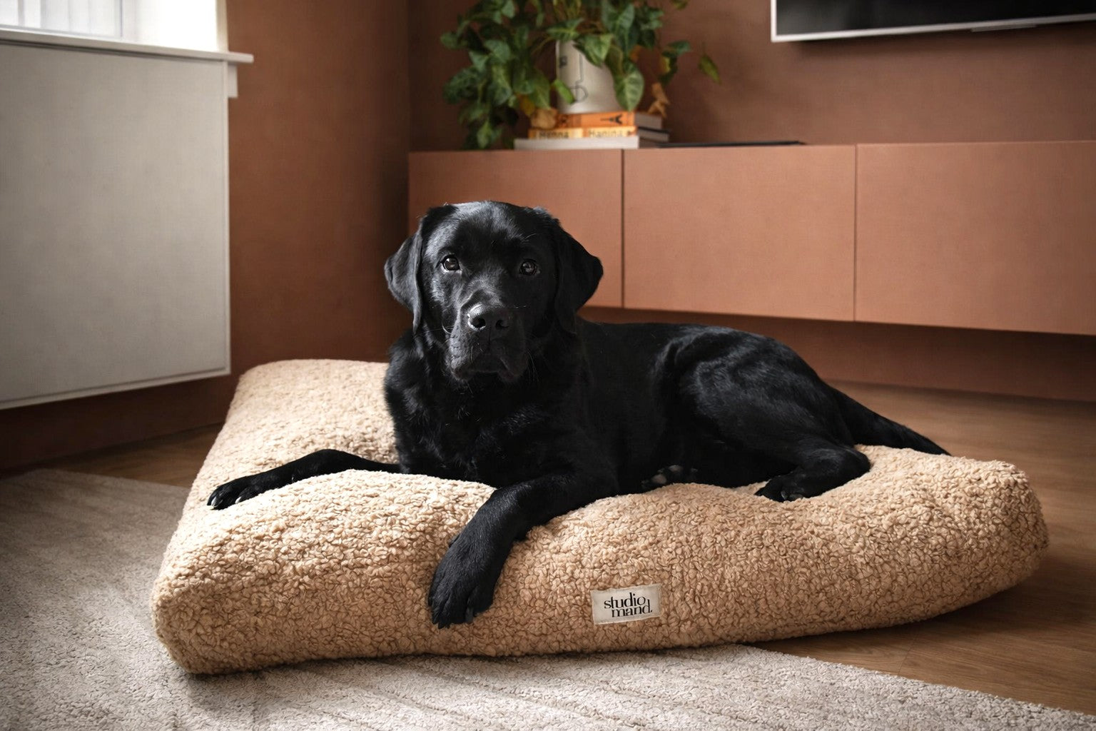 Ted - elegant hondenkussen met teddy look