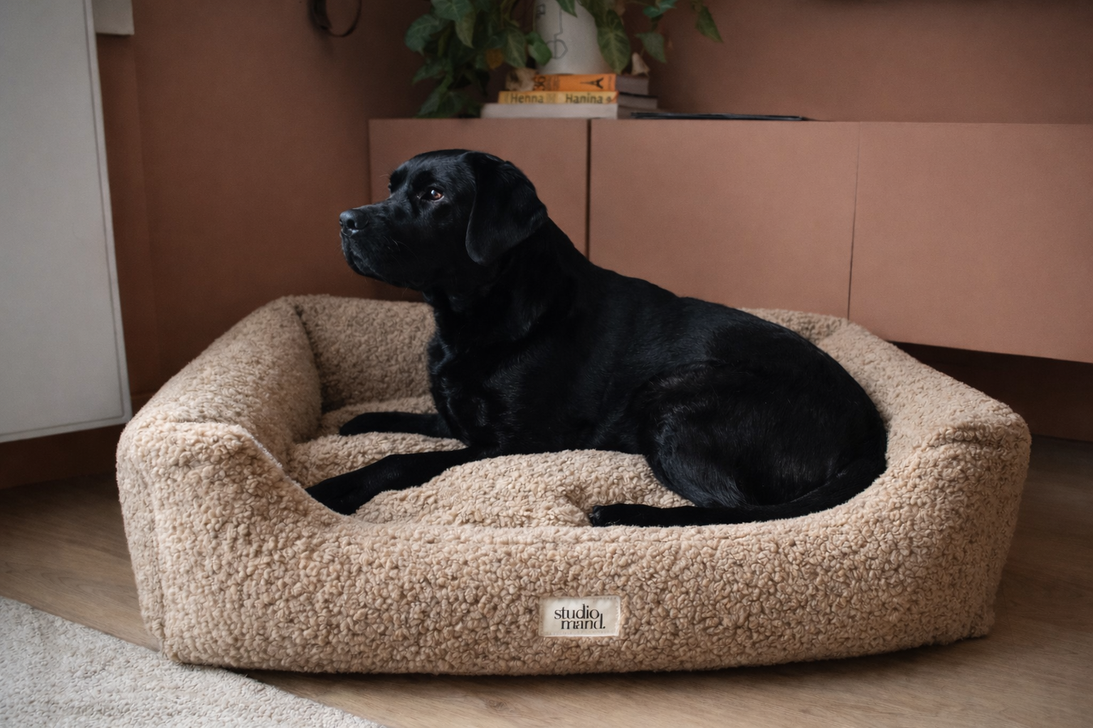 Ted - elegante hondenmand met teddy look