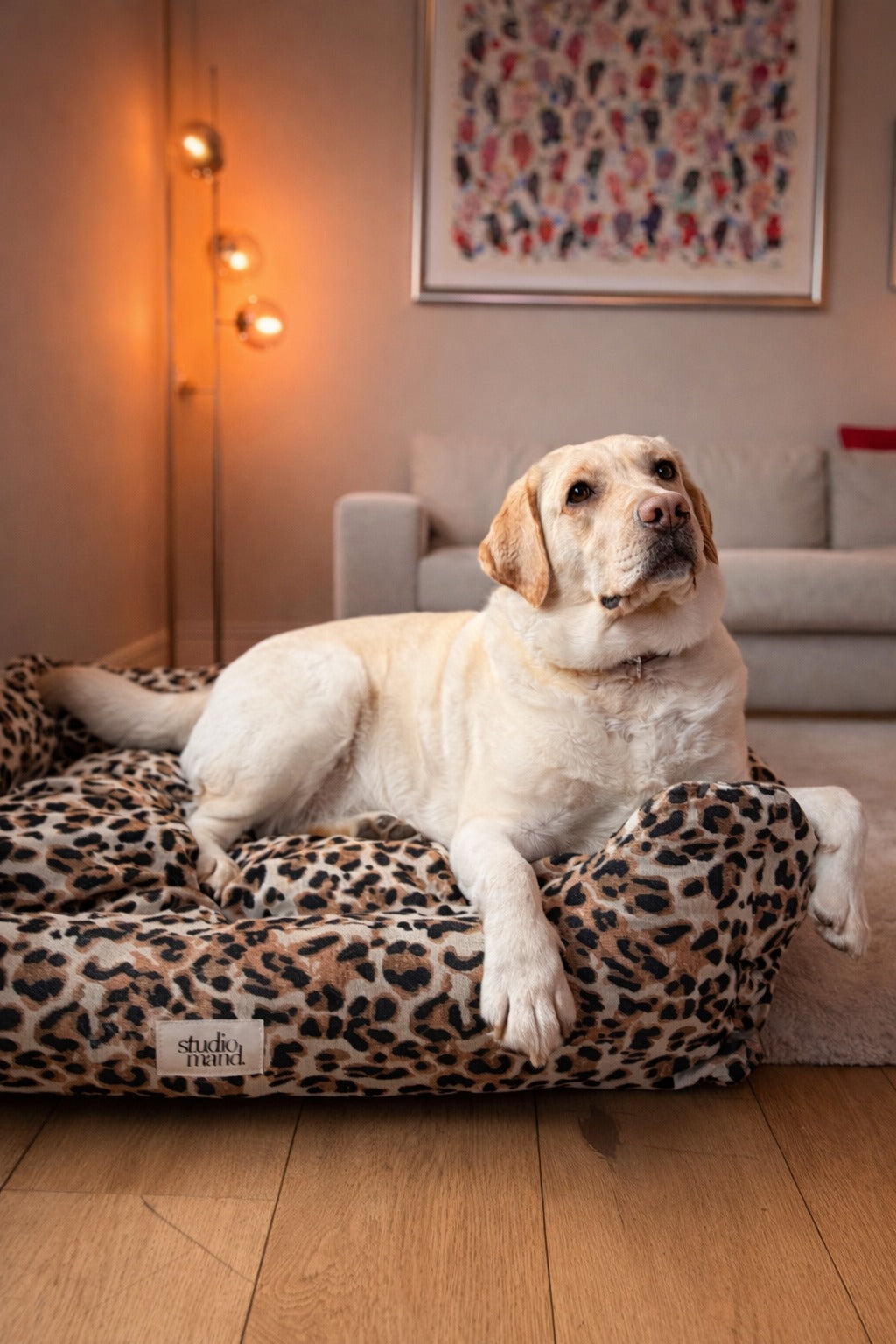 Cooper - hondenmand met luipaardprint