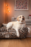 Cooper - hondenmand met luipaardprint