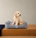 Hugo - luxe hondenmand met blauwe streep